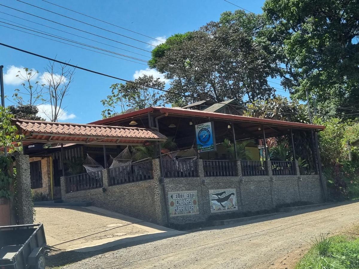 Cabinas Pura Vida B&B Tour Operator Drakes Bay Εξωτερικό φωτογραφία
