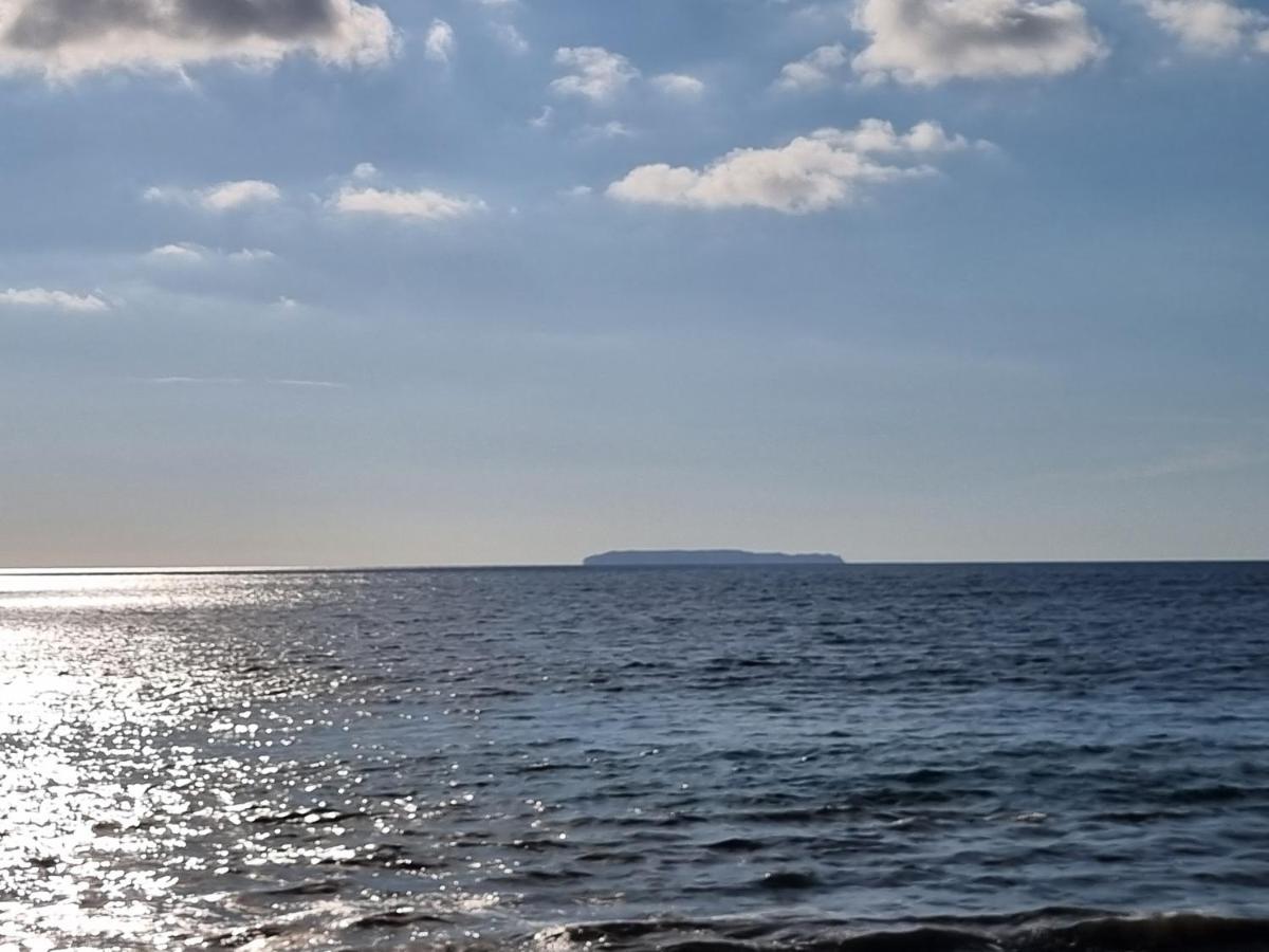 Cabinas Pura Vida B&B Tour Operator Drakes Bay Εξωτερικό φωτογραφία