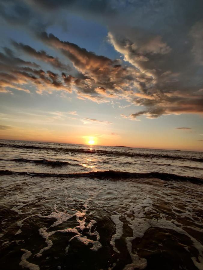 Cabinas Pura Vida B&B Tour Operator Drakes Bay Εξωτερικό φωτογραφία