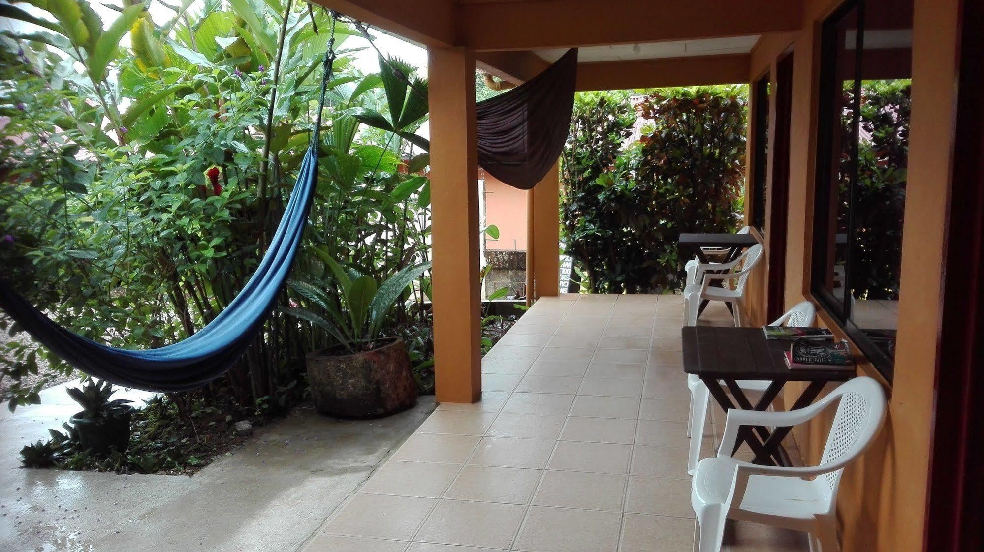 Cabinas Pura Vida B&B Tour Operator Drakes Bay Εξωτερικό φωτογραφία