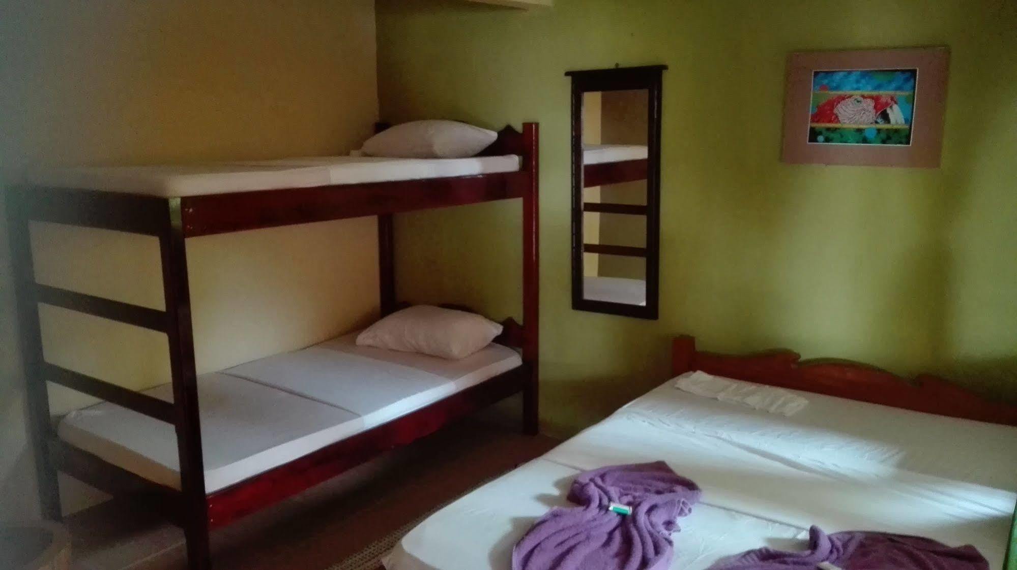 Cabinas Pura Vida B&B Tour Operator Drakes Bay Εξωτερικό φωτογραφία