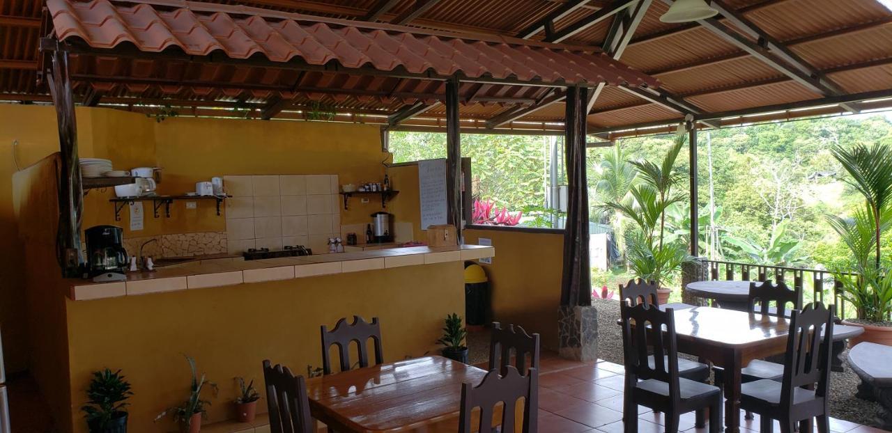 Cabinas Pura Vida B&B Tour Operator Drakes Bay Εξωτερικό φωτογραφία