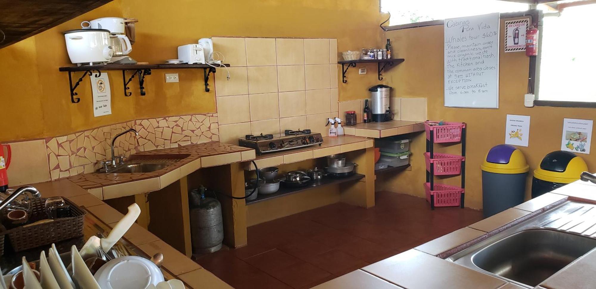 Cabinas Pura Vida B&B Tour Operator Drakes Bay Εξωτερικό φωτογραφία